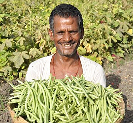 Improving Indian Farmer lives